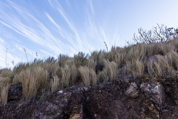 View from Cerro Pelado, Guanacaste, Costa Rica.	