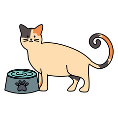 cute cat mascot with dish water