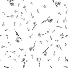 Seamless pattern with wildflowers on white background for print design. Print, design element. Seamless floral pattern. Fashion vector illustration. Summer background