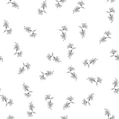 Hand drawn seamless outline simple flowers for wallpaper design. Vector hand drawn pattern. Seamless floral pattern. Vector line design. White background. Daisy flower drawing