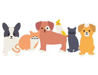 Obraz na płótnie Canvas cute group of mascots adorables characters
