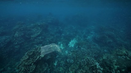 Plastic marine debris in the sea. 