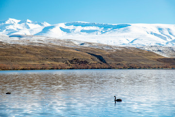 Obraz premium Lake Macgregor,South Island New Zealand