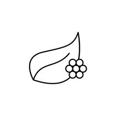 eggs, plant iconicon. Simple thin line, outline vector of Biology icons for UI and UX, website or mobile application