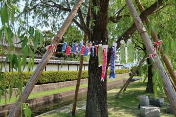 日本庭園と鯉のぼり
