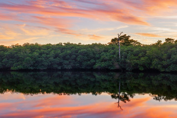Sunset Loxahatchee River 14