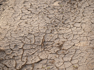 Land in the cracks of signs of drought