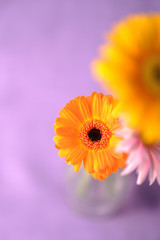 ガーベラ　フラワーアート