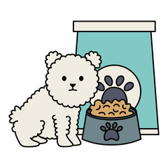 little dog adorable with paperbag food and dish