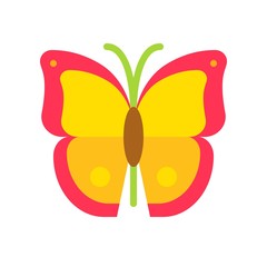 Butterfly vector, tropical related flat style icon
