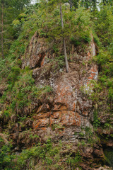  rock overgrown with trees, bushes and moss