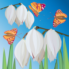  delicate white Yucca flowers and flying orange butterflies against the blue sky
