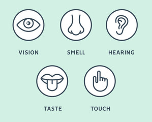 Five human senses vision eye, smell nose, hearing ear, touch hand, taste mouth and tongue. Line vector icons set