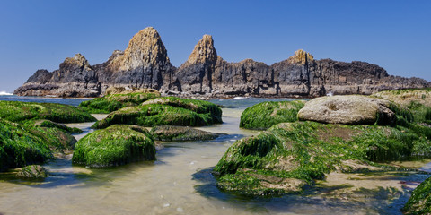 Fototapeta na wymiar Seal Rock 04