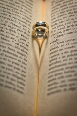 Fototapeta premium Amor anillos