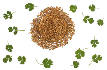 Coriander seeds and leaves isolated on white, top view.