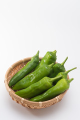 万願寺とうがらし