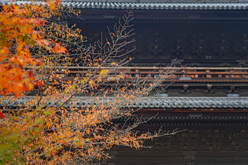 南禅寺の秋景色
