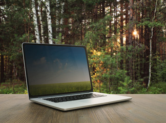 pc on table, forest