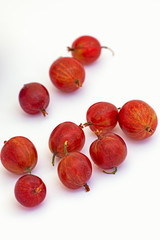 gooseberries isolated on white background