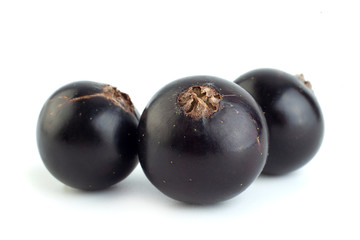 Black currant berries closeup