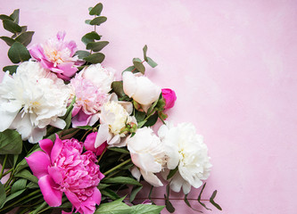 Background with pink peonies