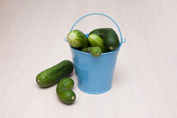  A small bucket of blue color with ugly vegetables. Ugly cucumbers. On a light wooden background.