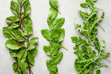 Assorted leafs of vegetables. Farm fresh green salad leaves. Beet, spinach and arugula. Vegetarian...