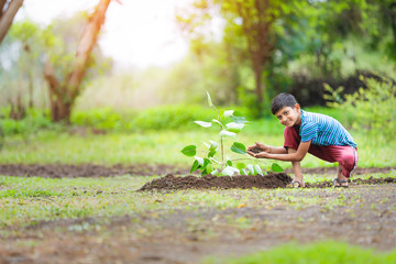kid planting tree and showing empty board
