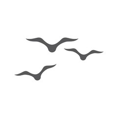 Fototapeta premium seagull symbol and icon