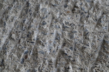 texture of bark of wall