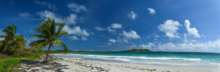 Obraz na płótnie Canvas panorama on beach cost in the Caribbean sea Martinique Island
