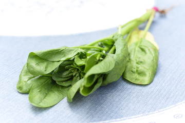 Freshly picked, home grown organic spinach leaves ready to use on kitchen table cloth