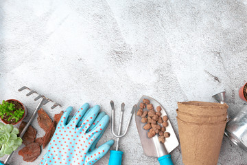 Gardening tools and top view, garden manteinance