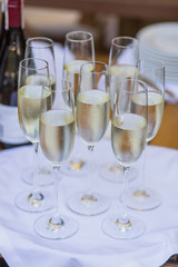 Glasses of Italian and French Wine Prosecco and Champagne for tasting