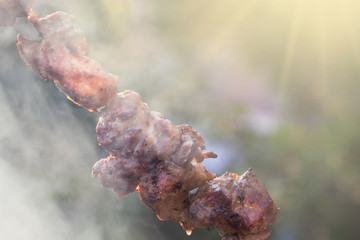 meat kebab skewers barbecue on smoke at sunny day