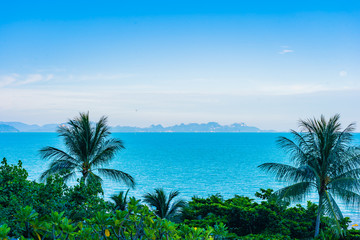 Beautiful outdoor beach sea ocean with coconut palm and other tree around island for travel in holiday vacation