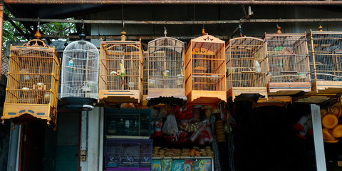 Group of bird in cage in Bali-Indonesia