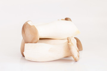 King oyster mushroom or Eryngii mushroom isolated on white background