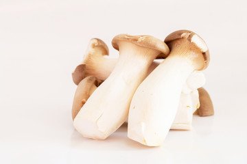 King oyster mushroom or Eryngii mushroom isolated on white background