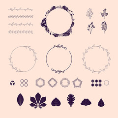 Floral elements, vector set. Borders, leaves, icons, brushes