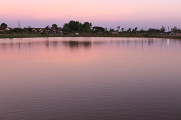 lake in the park .