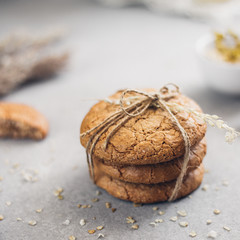 Square photo of oatmeal cookies