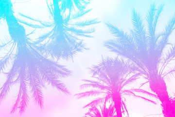 Silhouette of palm trees with a bright summer gradient on a bright blue background of the summer sky. Mirror reflection. Concept tropic, vacation and travel. Abstraction