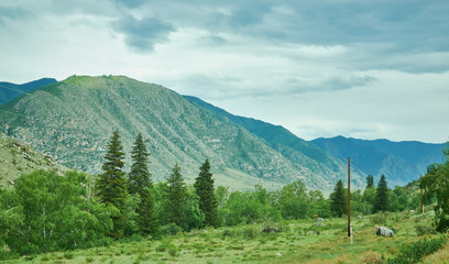 Chuysky Trakt landscape