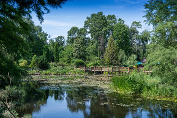 Fototapeta na wymiar Arboretum w Bolestraszycach 