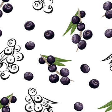 Acai seamless pattern. Dark berries with green leaves on white background. Vector color illustration in cartoon flat style and black and white outline.