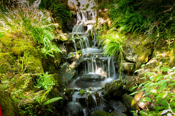 Scenic picture of a waterfall, Clyne gardens, Swansea