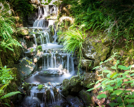 Scenic picture of a waterfall, Clyne gardens, Swansea