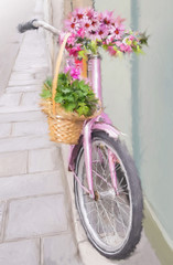 Fototapeta na wymiar Bicicletta da primavera